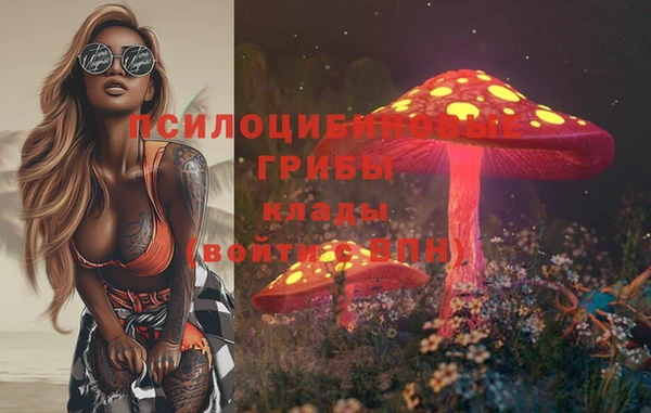 jwh Тобольск