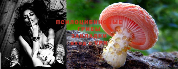 стафф Тихорецк